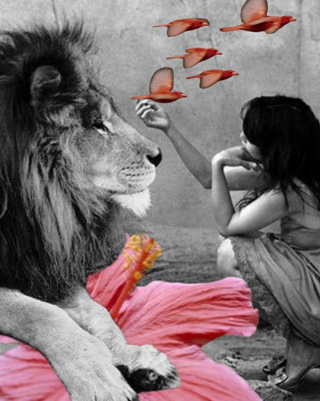 Collage of a lion resting on a pink hibiscus beside a woman reaching toward red birds